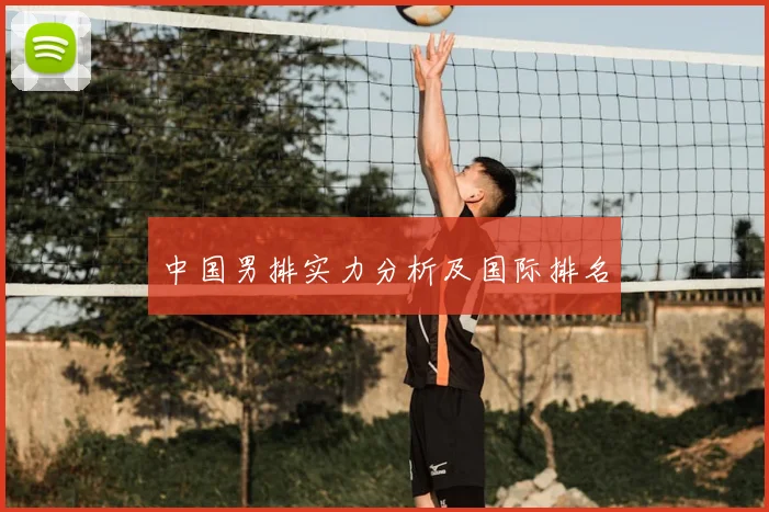 中国男排实力分析及国际排名